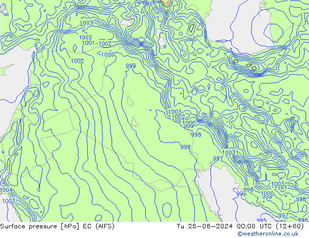 Bodendruck EC (AIFS) Di 25.06.2024 00 UTC