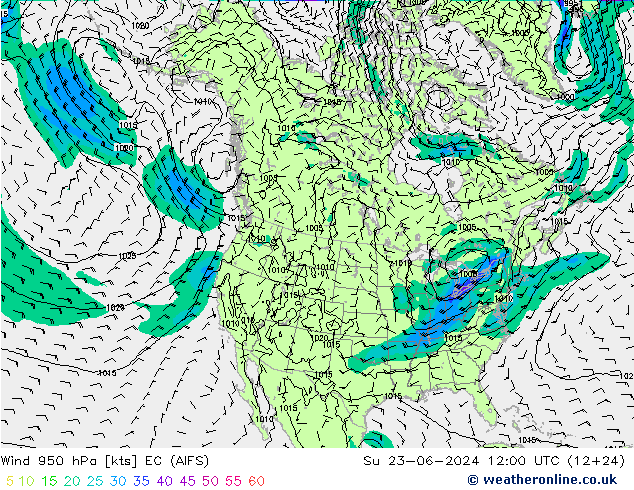 风 950 hPa EC (AIFS) 星期日 23.06.2024 12 UTC