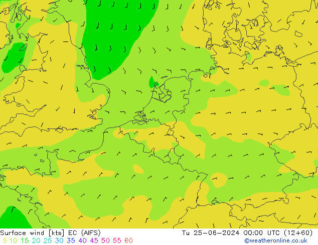 Bodenwind EC (AIFS) Di 25.06.2024 00 UTC