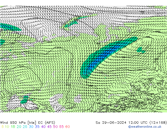 Wind 950 hPa EC (AIFS) Sa 29.06.2024 12 UTC