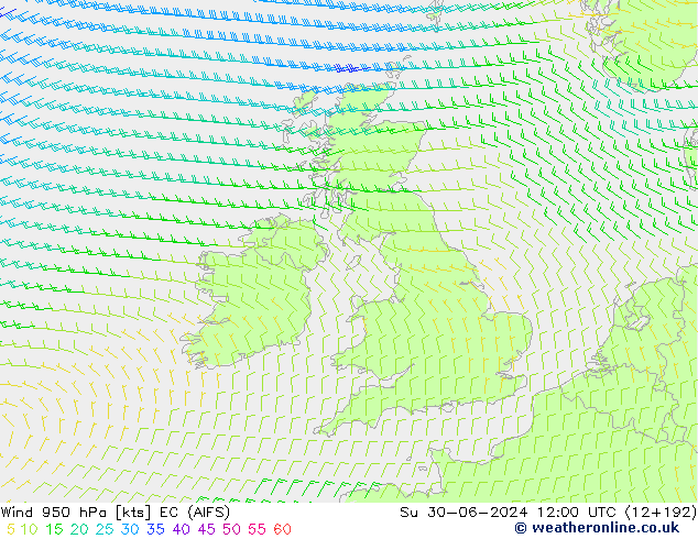 Wind 950 hPa EC (AIFS) Su 30.06.2024 12 UTC