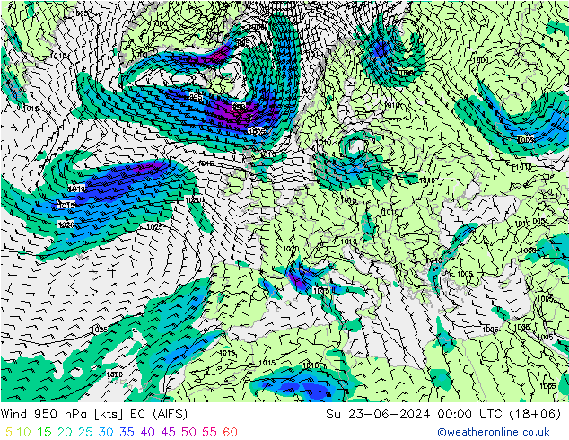 风 950 hPa EC (AIFS) 星期日 23.06.2024 00 UTC