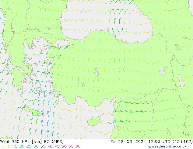 Wind 950 hPa EC (AIFS) za 29.06.2024 12 UTC