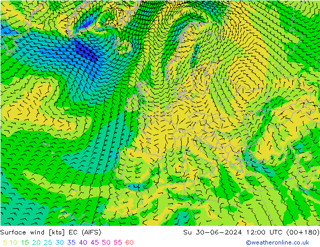 wiatr 10 m EC (AIFS) nie. 30.06.2024 12 UTC