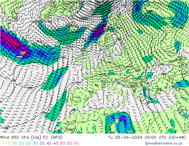 Vento 950 hPa EC (AIFS) Ter 25.06.2024 00 UTC