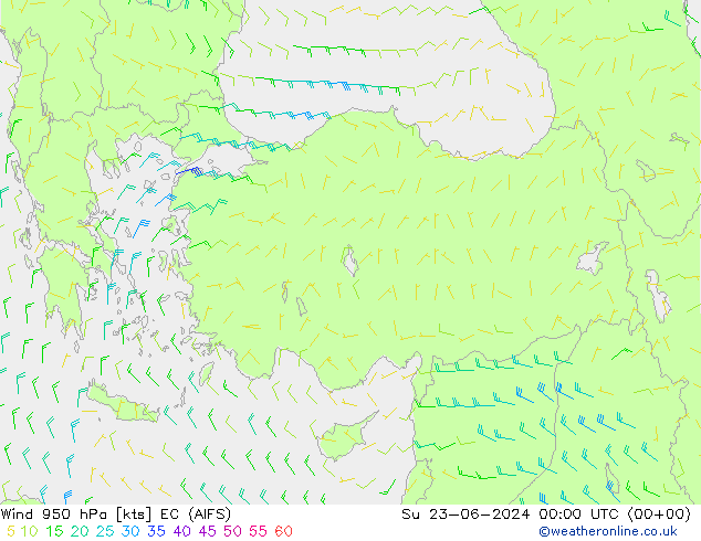 Rüzgar 950 hPa EC (AIFS) Paz 23.06.2024 00 UTC