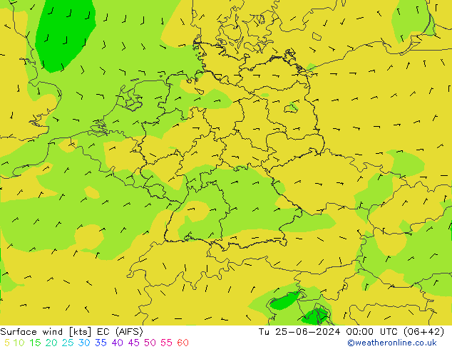 Surface wind EC (AIFS) Tu 25.06.2024 00 UTC