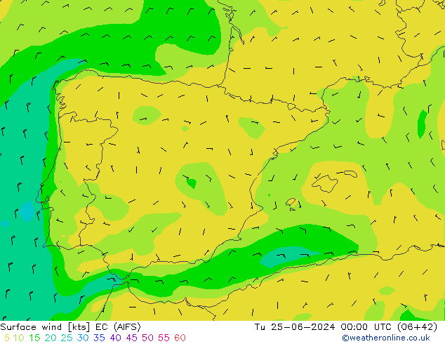  10 m EC (AIFS)  25.06.2024 00 UTC