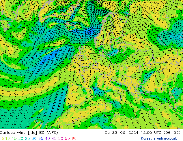 Surface wind EC (AIFS) Su 23.06.2024 12 UTC