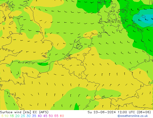 风 10 米 EC (AIFS) 星期日 23.06.2024 12 UTC