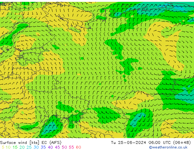 wiatr 10 m EC (AIFS) wto. 25.06.2024 06 UTC