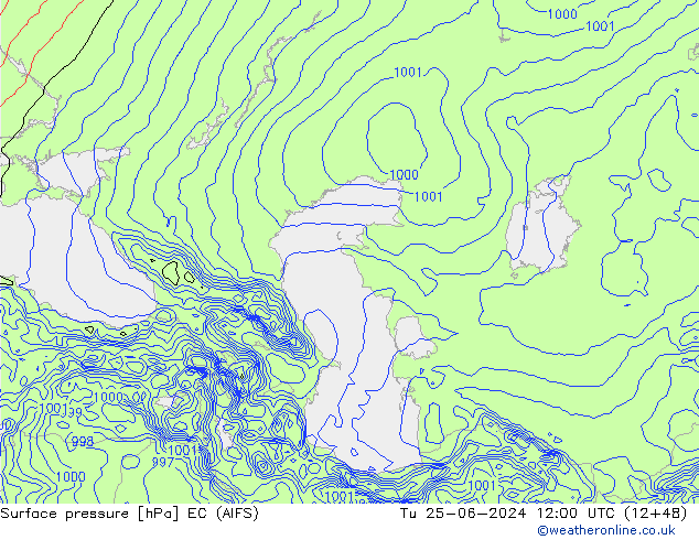 Surface pressure EC (AIFS) Tu 25.06.2024 12 UTC