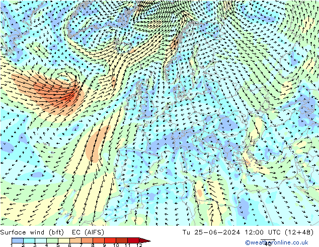 Wind 10 m (bft) EC (AIFS) di 25.06.2024 12 UTC