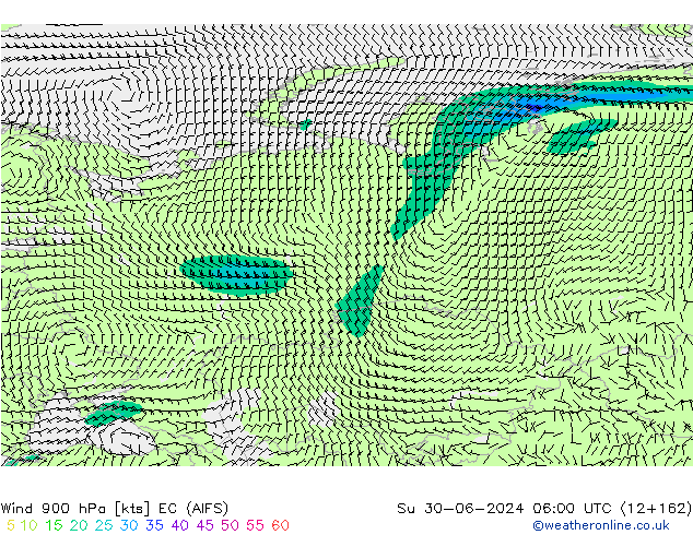 Wind 900 hPa EC (AIFS) Su 30.06.2024 06 UTC