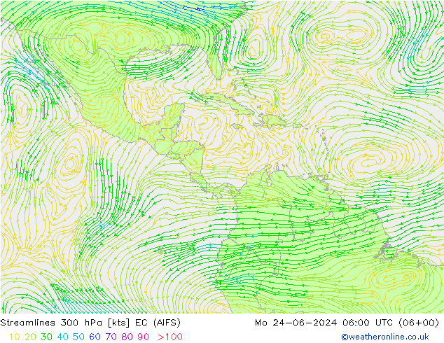 ветер 300 гПа EC (AIFS) пн 24.06.2024 06 UTC