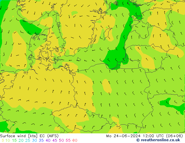 Surface wind EC (AIFS) Mo 24.06.2024 12 UTC