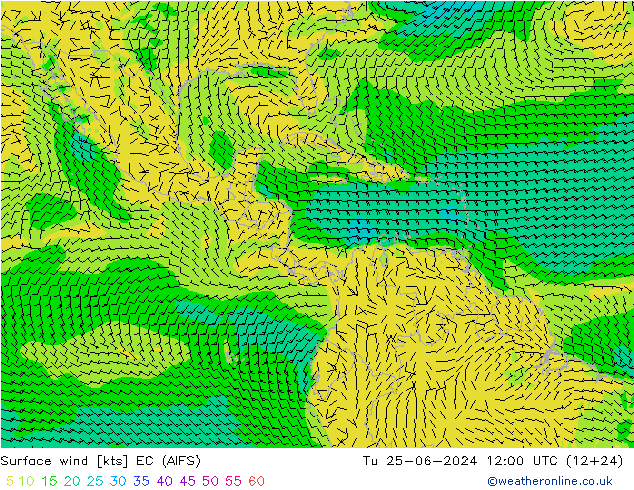 Surface wind EC (AIFS) Tu 25.06.2024 12 UTC