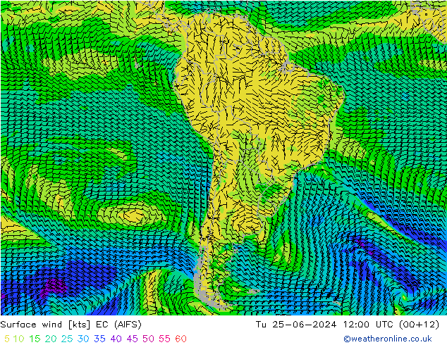 Surface wind EC (AIFS) Tu 25.06.2024 12 UTC