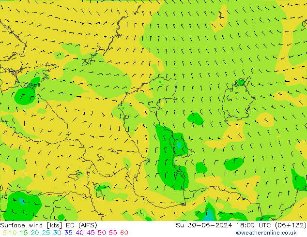 ветер 10 m EC (AIFS) Вс 30.06.2024 18 UTC