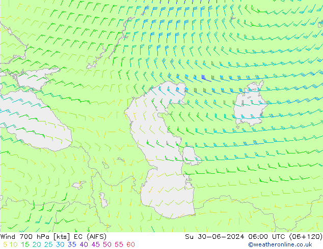  700 hPa EC (AIFS)  30.06.2024 06 UTC