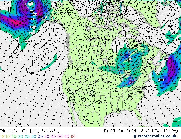 Wind 950 hPa EC (AIFS) Di 25.06.2024 18 UTC