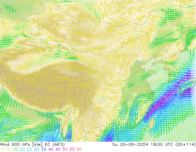 风 900 hPa EC (AIFS) 星期日 30.06.2024 18 UTC
