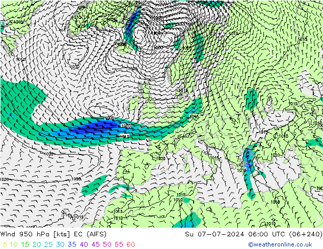 风 950 hPa EC (AIFS) 星期日 07.07.2024 06 UTC