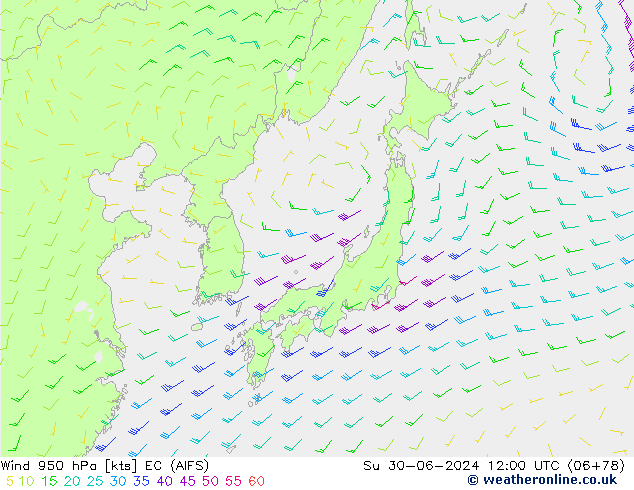 Wind 950 hPa EC (AIFS) Su 30.06.2024 12 UTC