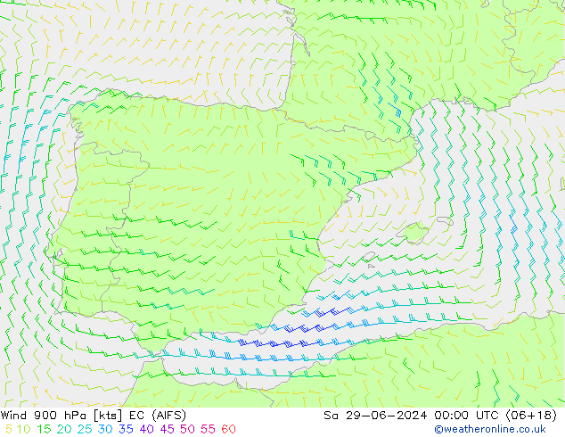 Wind 900 hPa EC (AIFS) za 29.06.2024 00 UTC