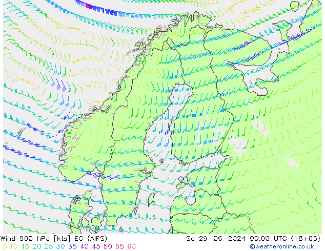 Wind 900 hPa EC (AIFS) za 29.06.2024 00 UTC