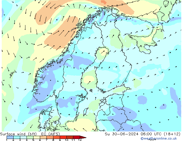 Wind 10 m (bft) EC (AIFS) zo 30.06.2024 06 UTC