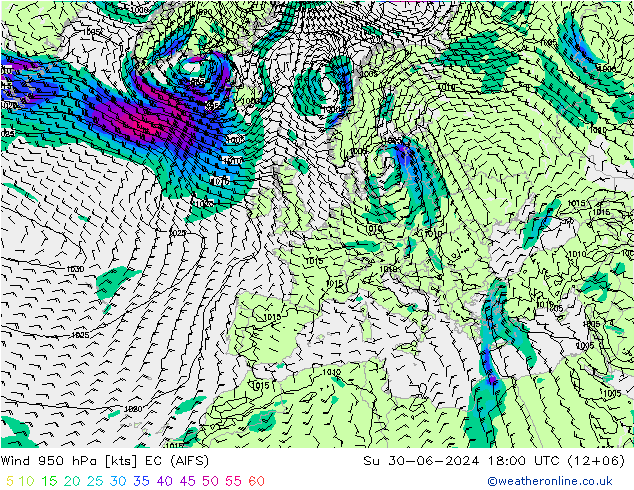 Wind 950 hPa EC (AIFS) zo 30.06.2024 18 UTC