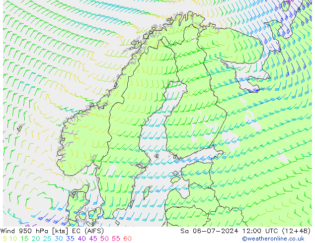 Wind 950 hPa EC (AIFS) za 06.07.2024 12 UTC