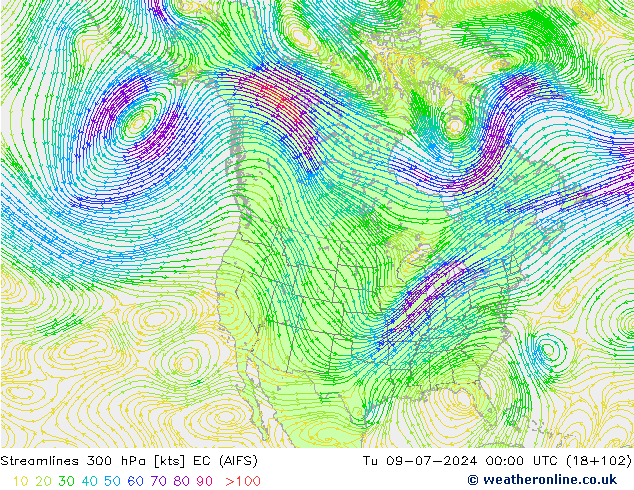 风 300 hPa EC (AIFS) 星期二 09.07.2024 00 UTC