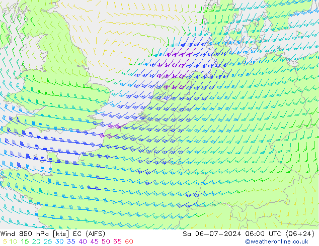 风 850 hPa EC (AIFS) 星期六 06.07.2024 06 UTC