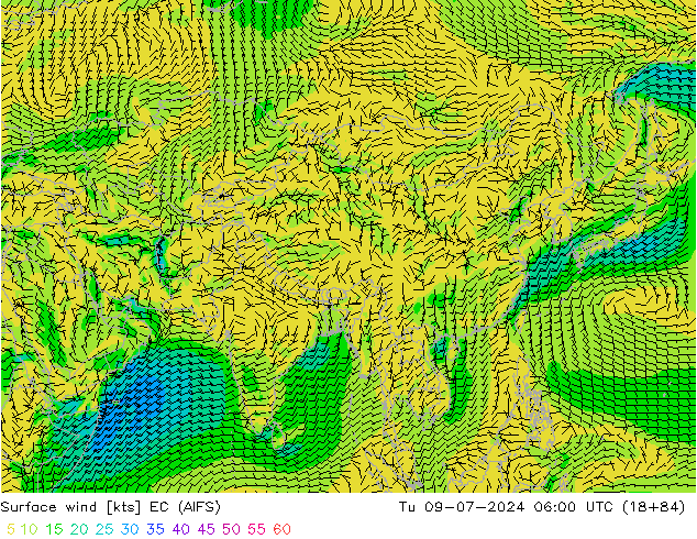 Wind 10 m EC (AIFS) di 09.07.2024 06 UTC