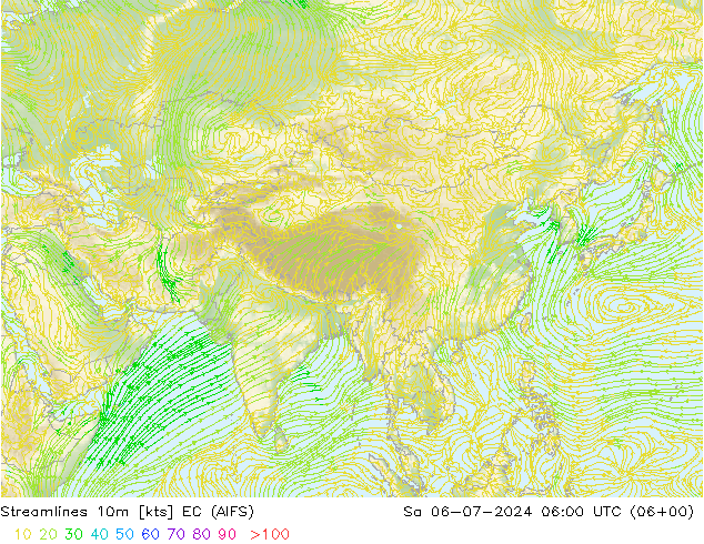 Stroomlijn 10m EC (AIFS) za 06.07.2024 06 UTC