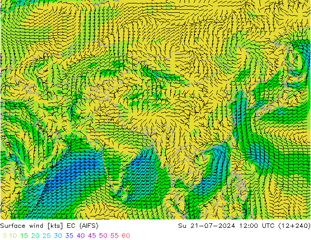Wind 10 m EC (AIFS) zo 21.07.2024 12 UTC