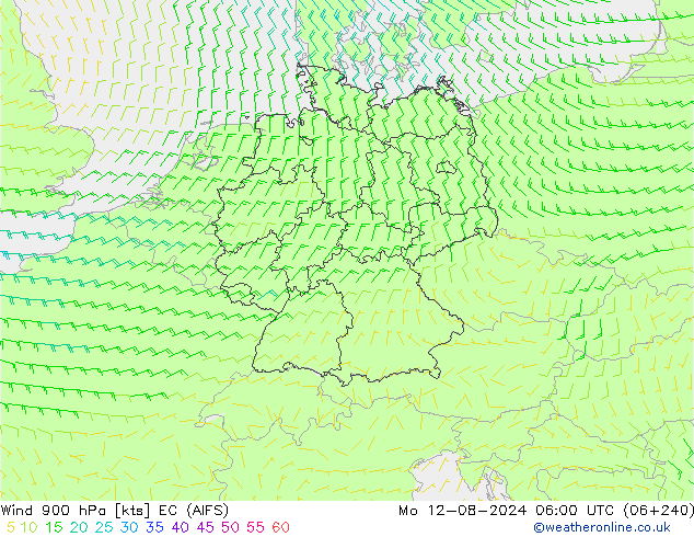 风 900 hPa EC (AIFS) 星期一 12.08.2024 06 UTC