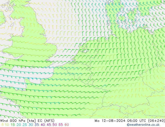 风 900 hPa EC (AIFS) 星期一 12.08.2024 06 UTC