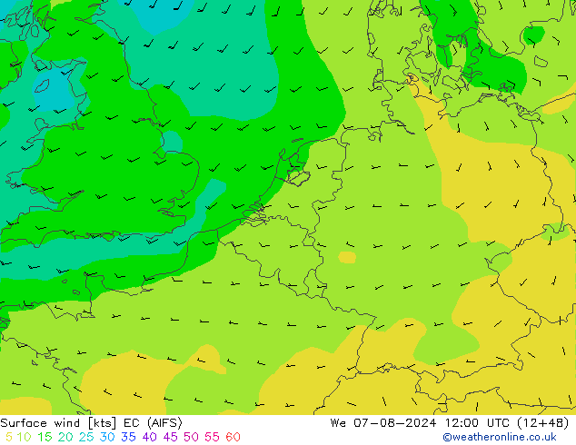 风 10 米 EC (AIFS) 星期三 07.08.2024 12 UTC