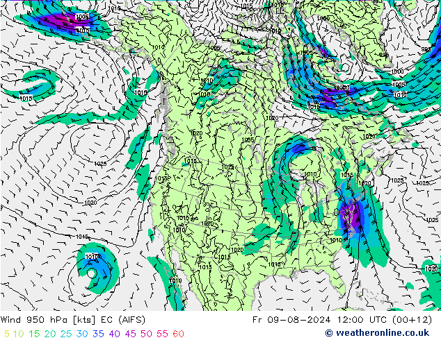 风 950 hPa EC (AIFS) 星期五 09.08.2024 12 UTC