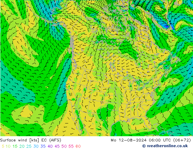 Wind 10 m EC (AIFS) ma 12.08.2024 06 UTC