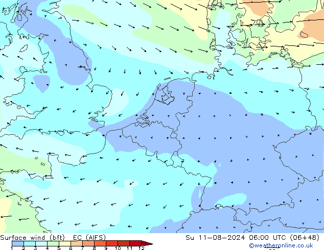 Wind 10 m (bft) EC (AIFS) zo 11.08.2024 06 UTC