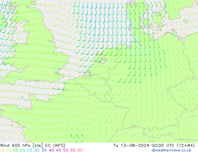 Wind 900 hPa EC (AIFS) di 13.08.2024 00 UTC