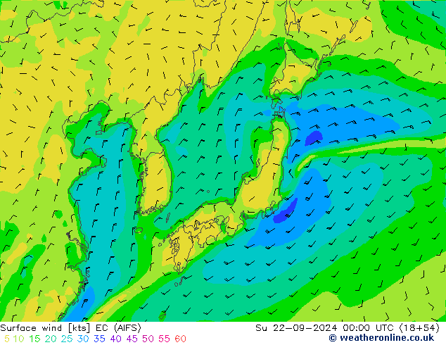 ветер 10 m EC (AIFS) Вс 22.09.2024 00 UTC