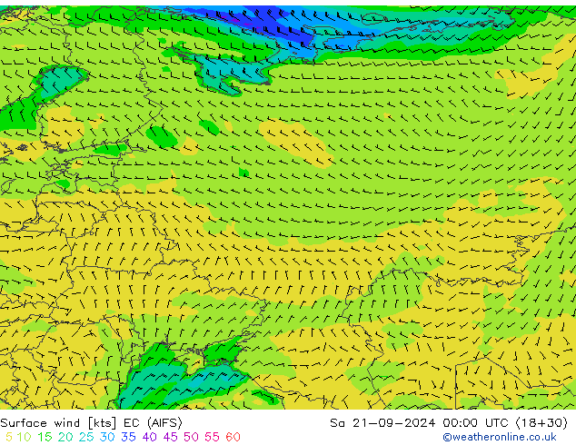 Bodenwind EC (AIFS) Sa 21.09.2024 00 UTC