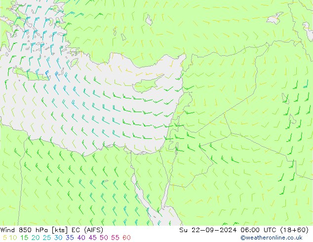 ветер 850 гПа EC (AIFS) Вс 22.09.2024 06 UTC