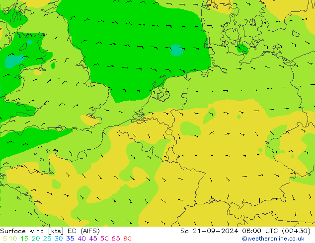 Surface wind EC (AIFS) Sa 21.09.2024 06 UTC