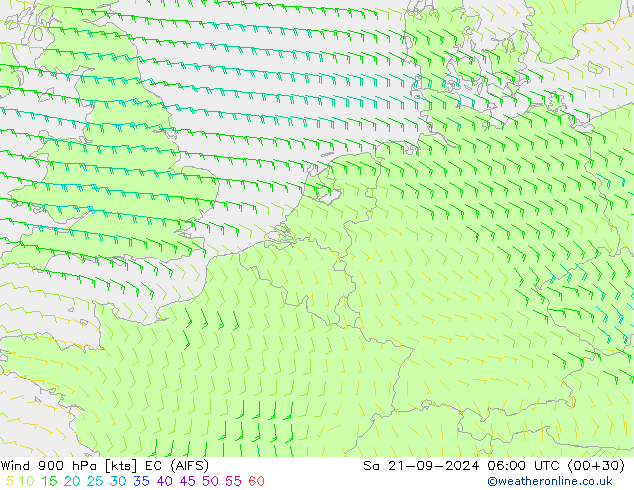 Wind 900 hPa EC (AIFS) Sa 21.09.2024 06 UTC